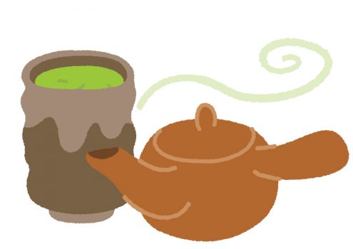 ポリフェノールのカテキンが豊富な緑茶