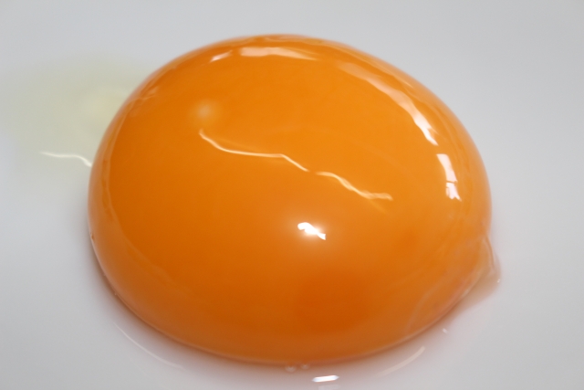 卵の黄身 卵黄