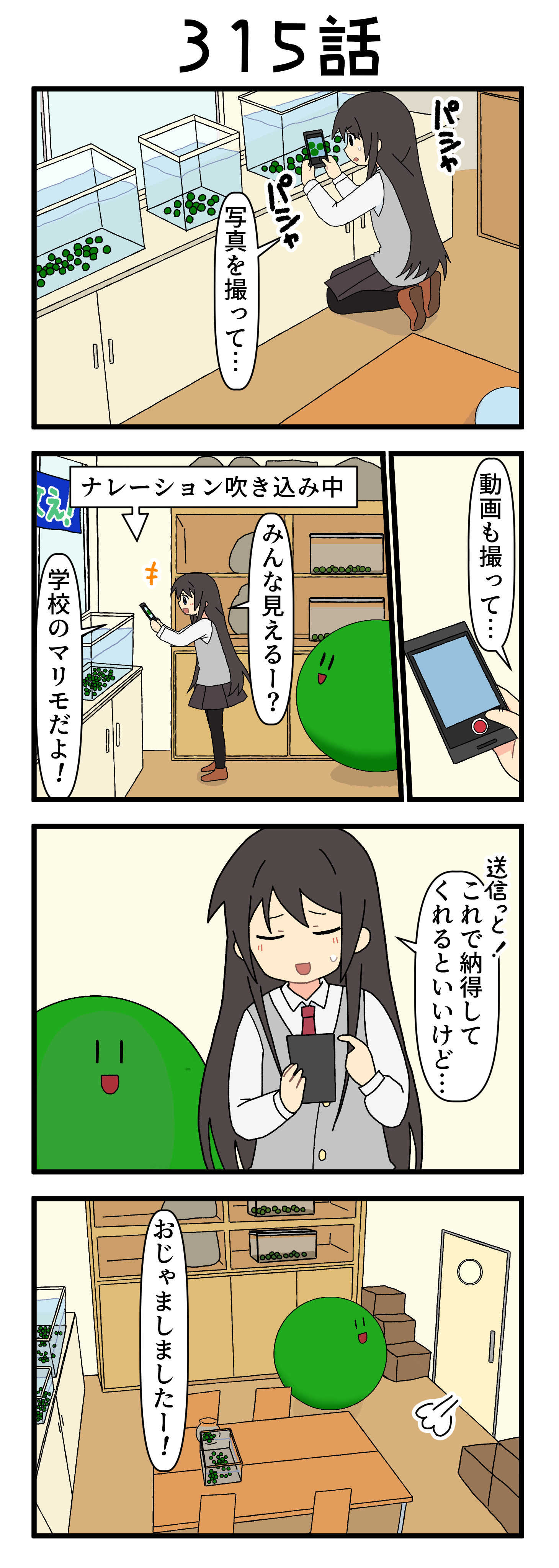 『マリモのまりこちゃん』第315話